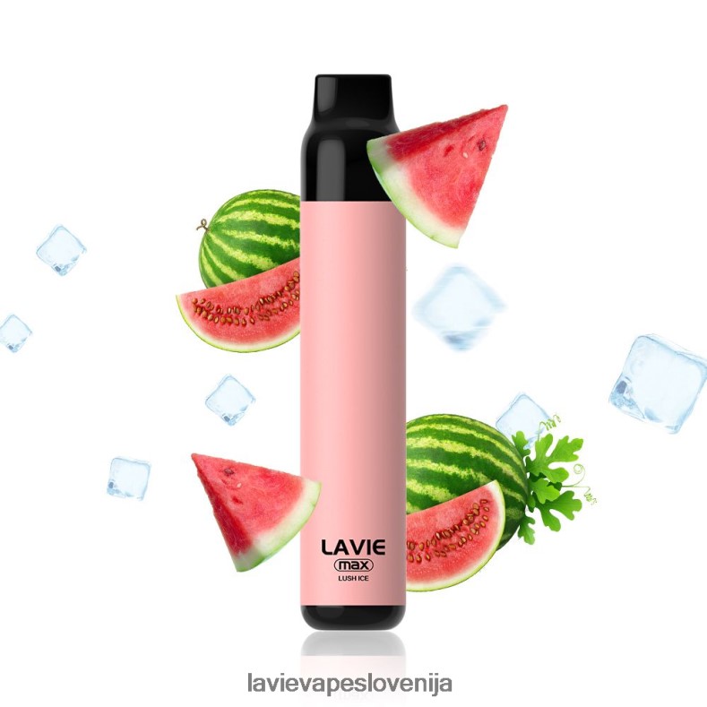 LAVIE Vape Slovenija - LAVIE BAR 5000 vpihov - maks bujni led V22B66277