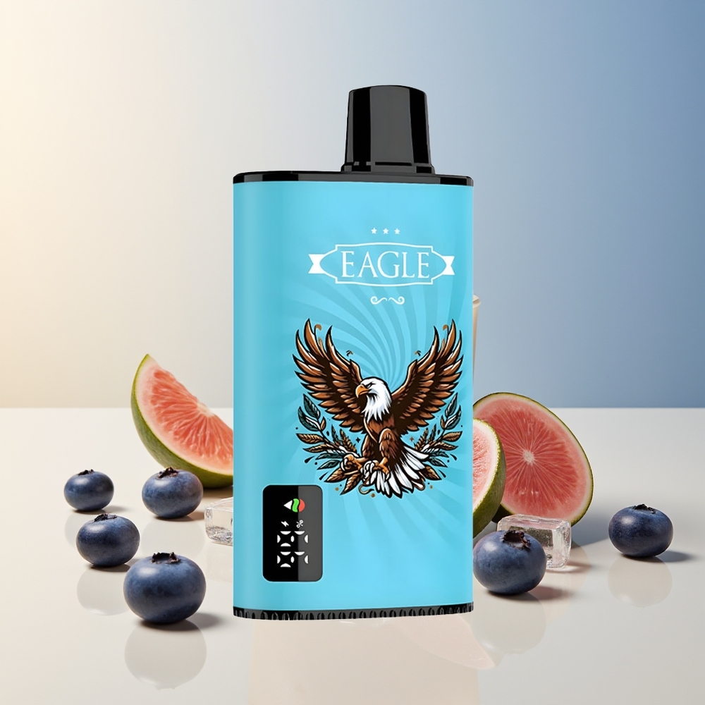 Veleprodaja Slovenija JNR EAGLE Smart 23000 Puffs Bluberry Ice Vape z 25ml e-Liquid in 10ohm Mesh Coil