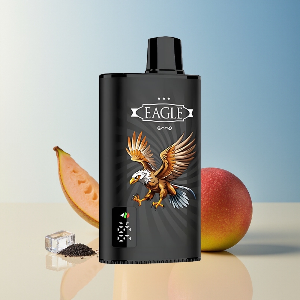 Veleprodaja Slovenija JNR EAGLE Smart 23000 Puffs Vape Črni ribez mango led Digital Screen Type-C Charging Port