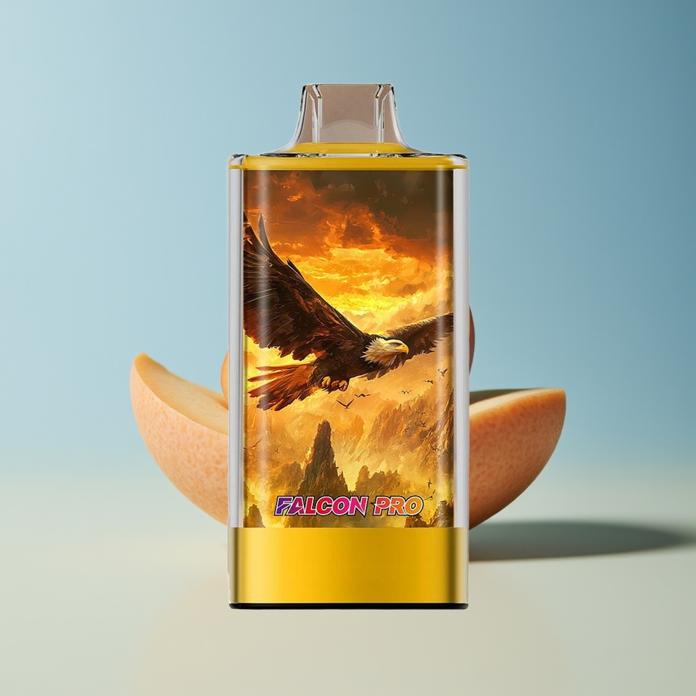 Veleprodaja Slovenija JNR Falcon Pro 28000 Mango Pasijonka 30ml USB Type-C