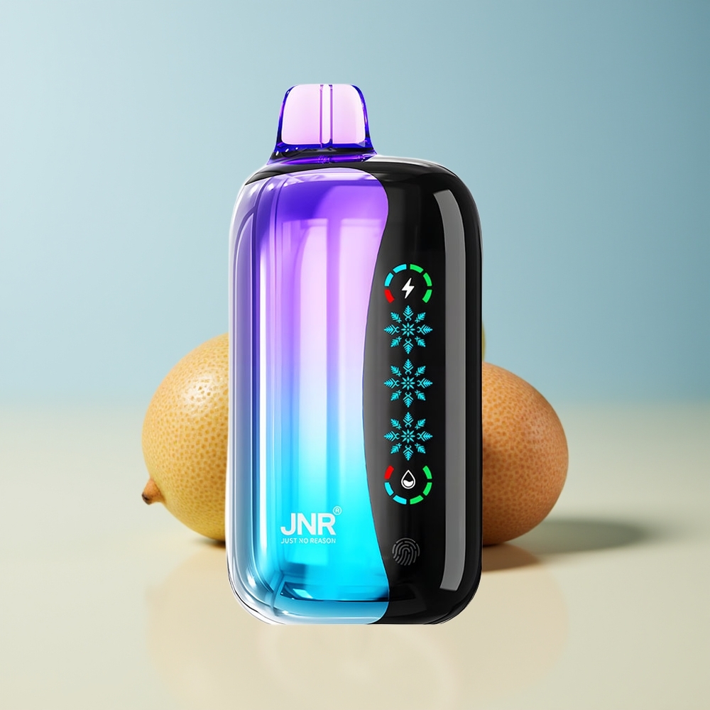 Veleprodaja Slovenija JNR Flex Ice 21000 Pufov Vape Kiwi Pasijonka Guava Prilagodljiv Led Nicotine 5 Type-C Polnjenje