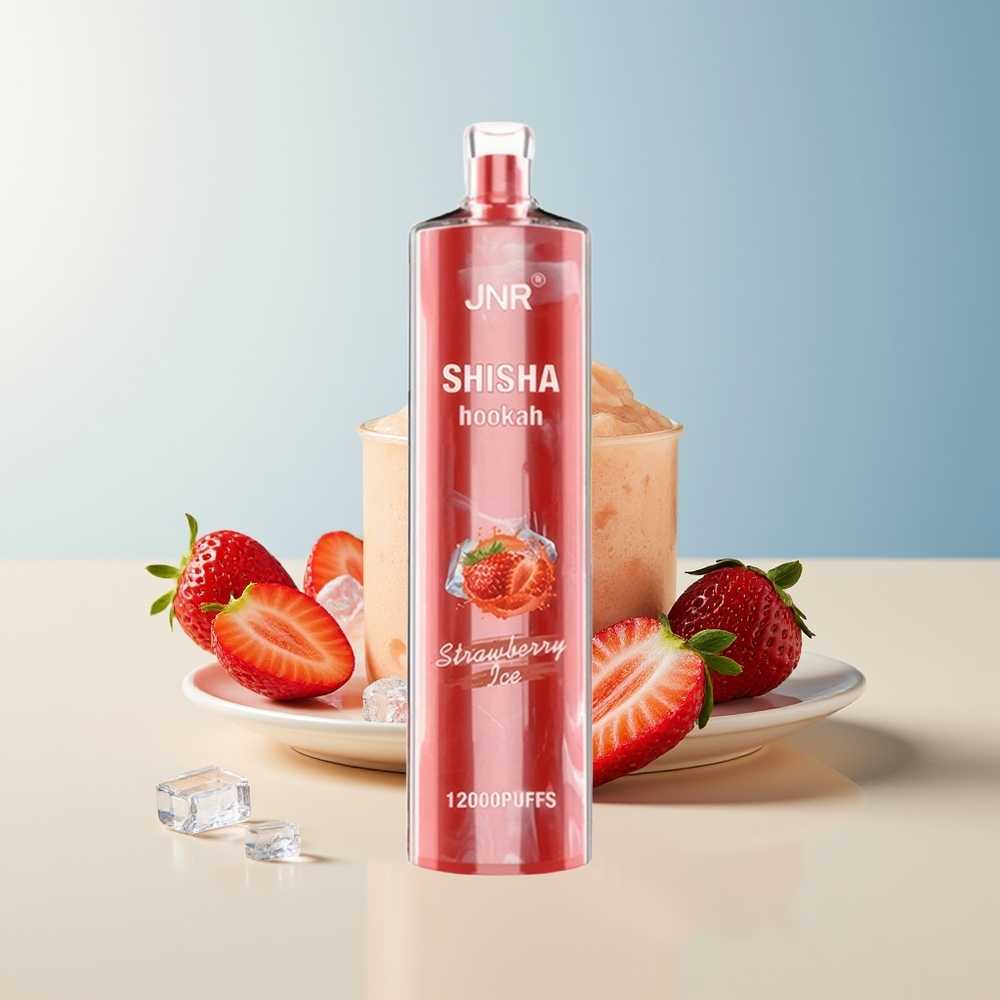 Veleprodaja Slovenija JNR Shisha Hookah 12000 Puff 750mAh Vape Jagoda Led