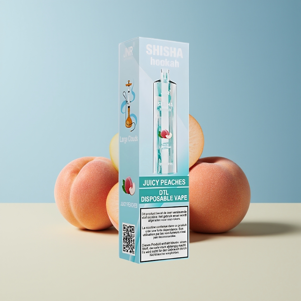 Veleprodaja Slovenija JNR Shisha Hookah 12000 Puffs 750mAh Sočne Breskve