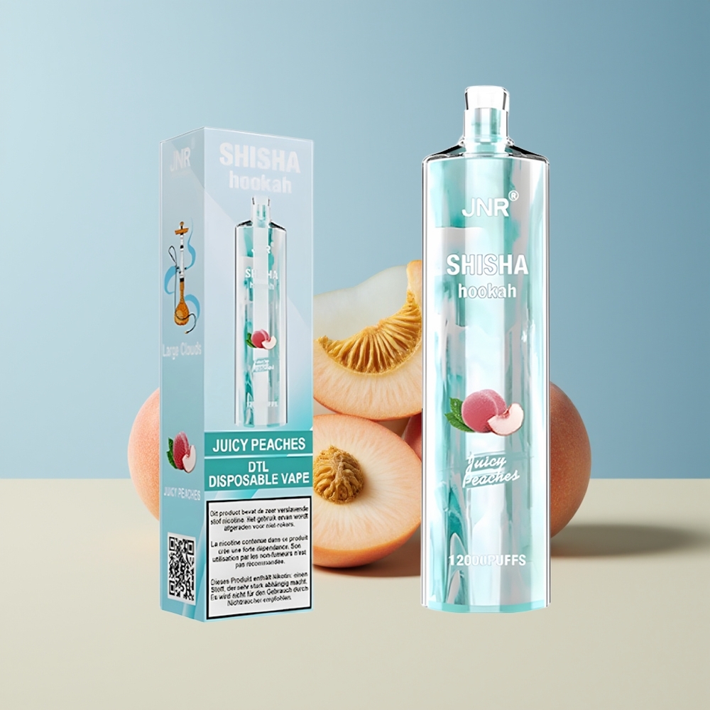 Veleprodaja Slovenija JNR Shisha Hookah 12000 Puffs 750mAh Sočne Breskve