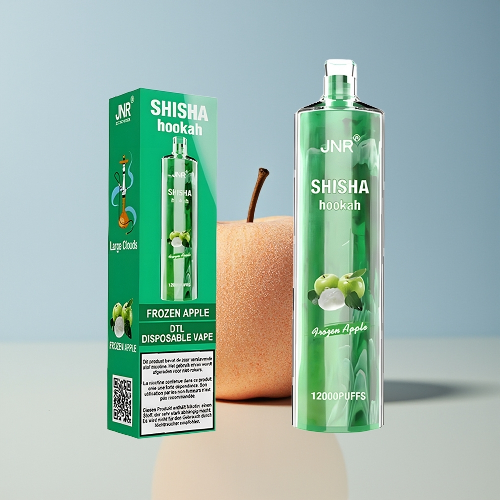 Veleprodaja Slovenija JNR Shisha Hookah 12000 Puffs 750mAh Zamrznjeno Jabolko