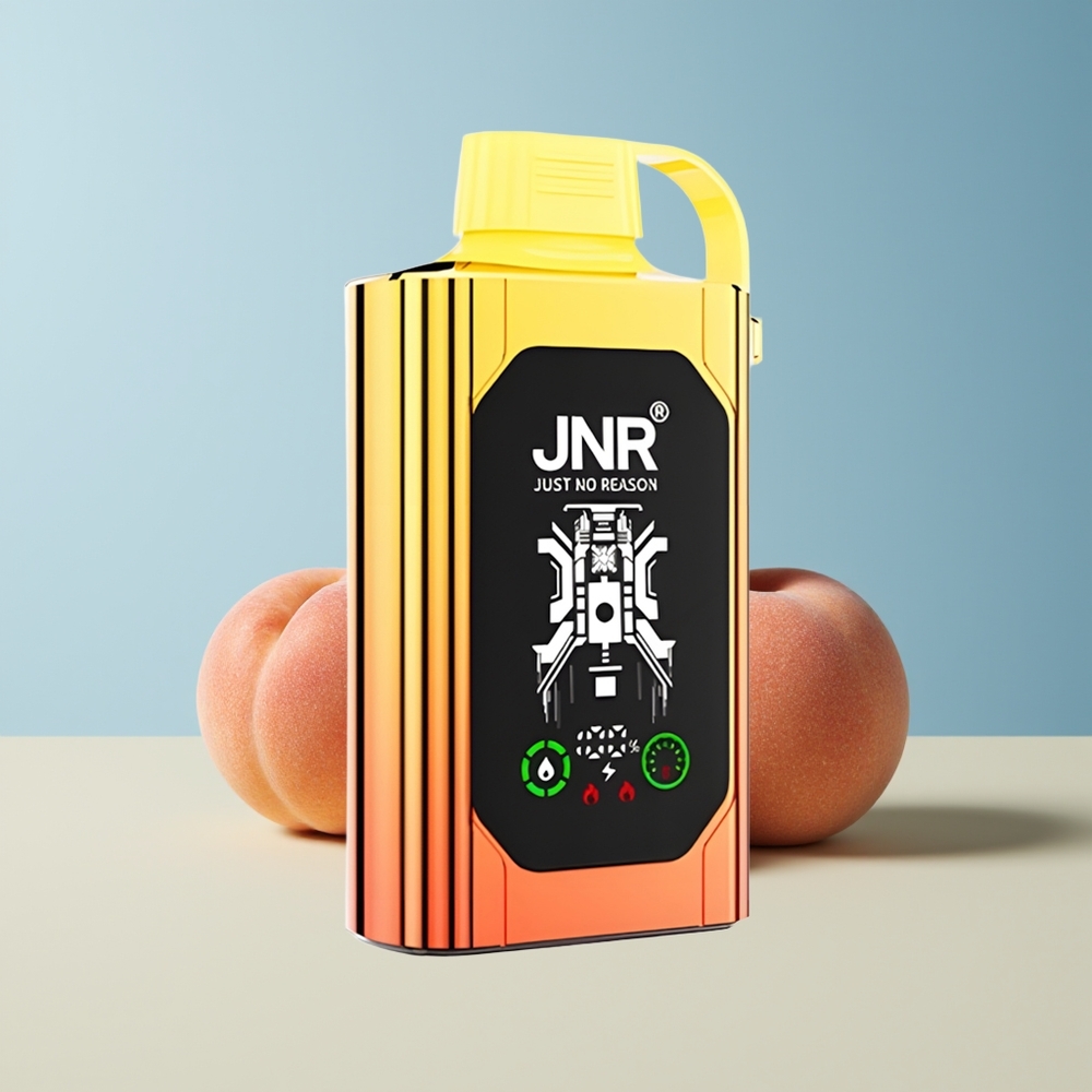 Veleprodaja Slovenija JNR Shisha Hookah Box 20500 Puffs Sočne Breskve Dual Mesh Coil  Dual Core