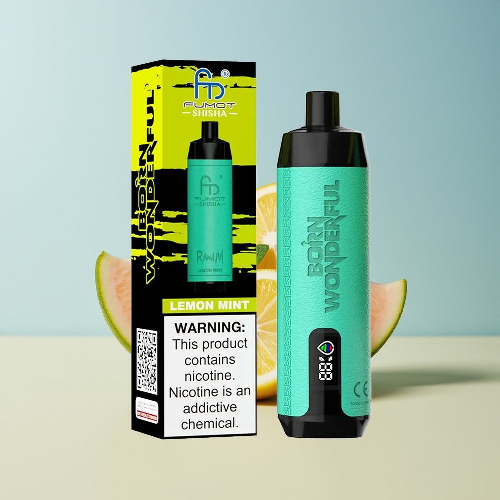 Veleprodaja Slovenija RandM Fumot Shisha 10000 Puff Vape Limeta Meta 850 mAh Battery