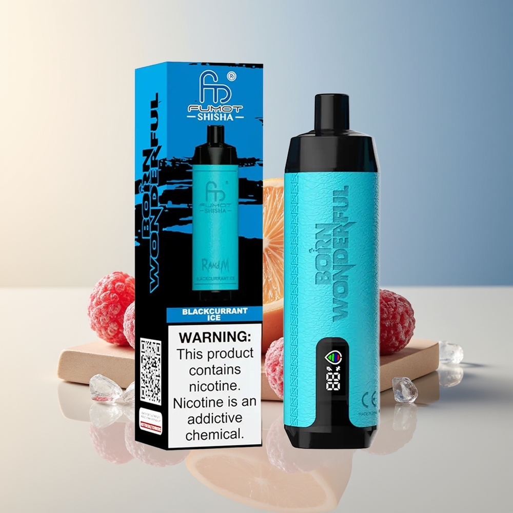 Veleprodaja Slovenija RandM Fumot Shisha 10000 Puffs Črni Ribez Leden + LED Indicator + Type-C Port