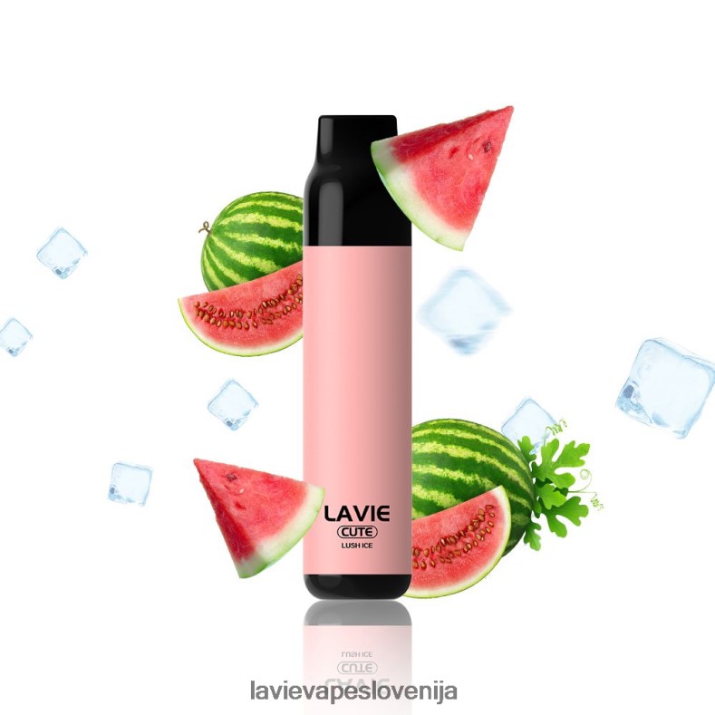 LAVIE Vape Slovenija - LAVIE BAR 3000 vpihov bujni led V22B66285
