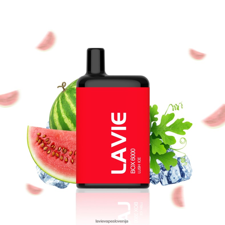 LAVIE Vapes - LAVIE BOX 6000 vpihov bujni led V22B66199