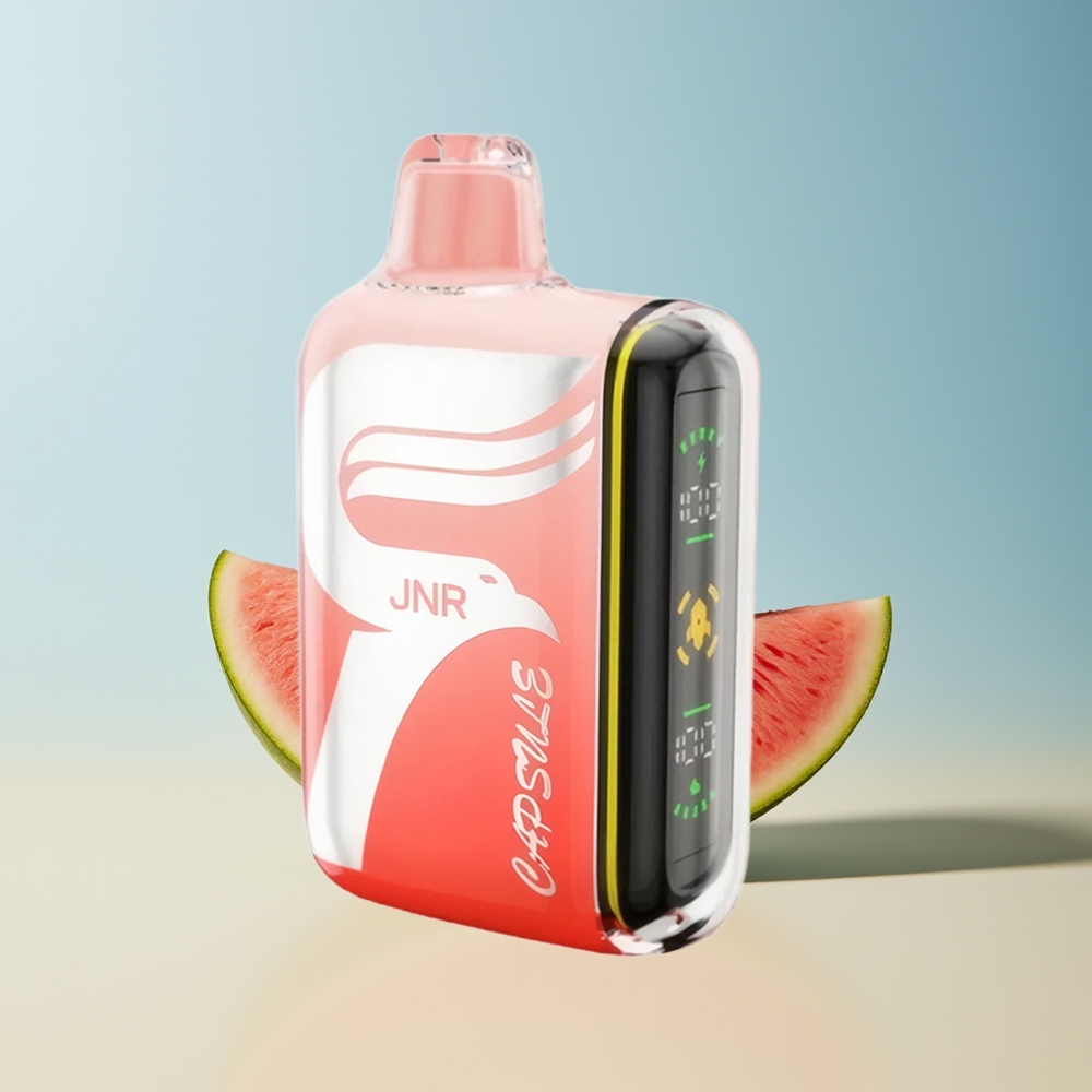 Veleprodaja Slovenija JNR Capsule 15000 Puffs Dual Mesh Coil Vape Lubenica Brazz Ledena