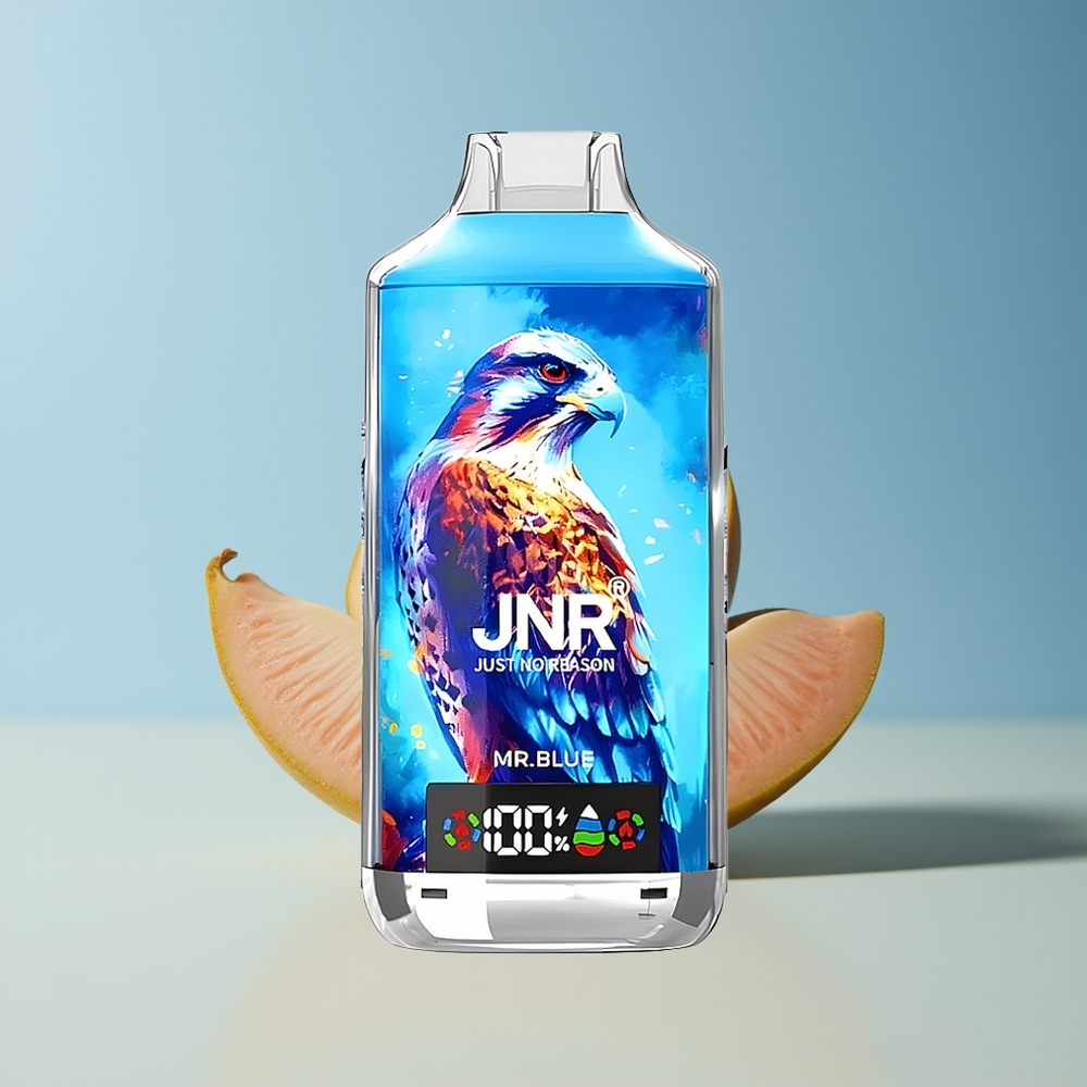 Veleprodaja Slovenija JNR Falcon X 18000 Pufov Vape G. Modri 750mAh Type-C Quick Charge