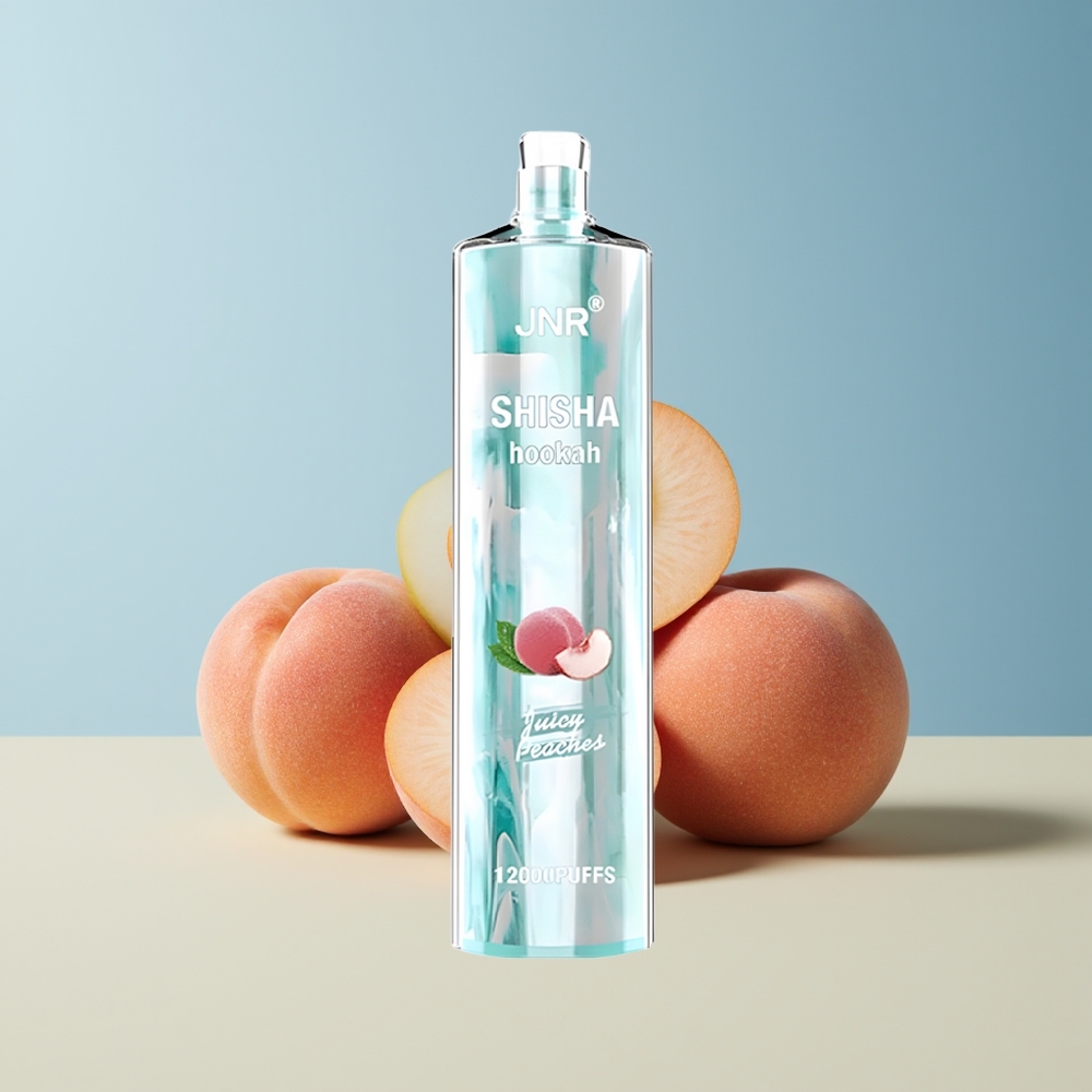 Veleprodaja Slovenija JNR Shisha Hookah 12000 Puffs 750mAh Sočne Breskve